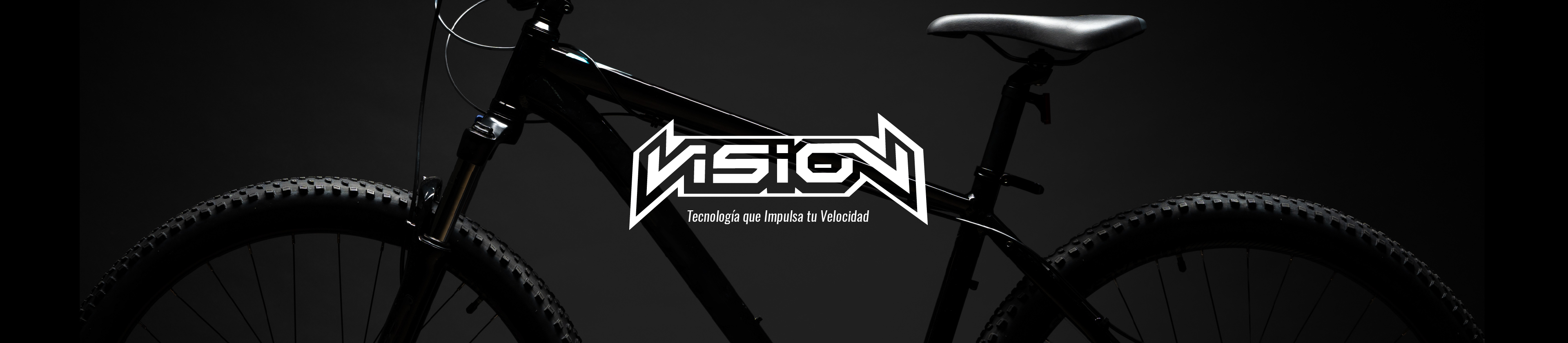 Vision